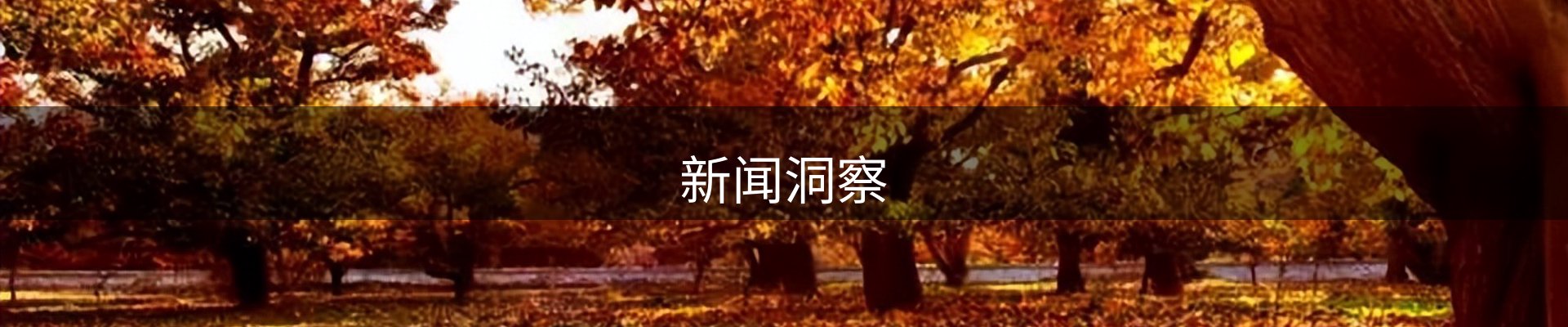 新闻洞察